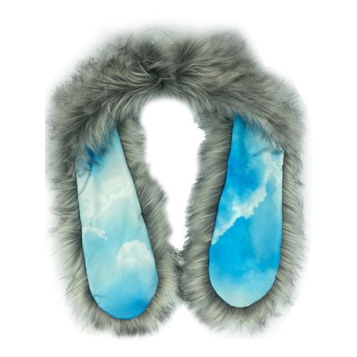 Ears